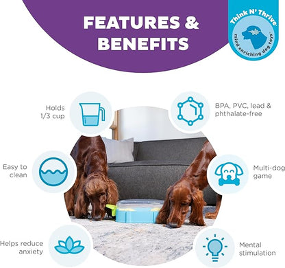 Outward Hound Nina Ottosson Paw N' Play Interactive Dog Treat Puzzle, Level 2 Intermediate Dog Enrichment Dog Toy, Blue, Small