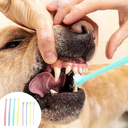 8pcs Dog Toothbrush, 2 Styles Soft Bristle Small Cat Toothbrush Micro Head Kitten Teeth Cleaning Brush Dental Care Supplies for Tiny Puppy Kitty Reduce Plaque Tartar Formation & Bad Breath