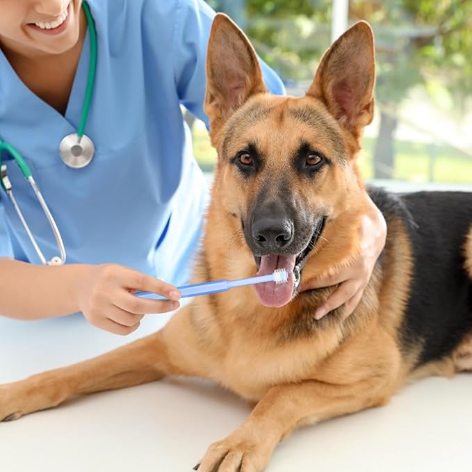 2 Pack Small Dog Toothbrush,360 Degree Silicone Cat Toothbrush Pet Dental Care Dog Oral Hygiene Deep Clean Pet Teeth Cleaning Kit Soft Bristles Friendly to Gums, Easy to Handle, Fresh Breath - Medium