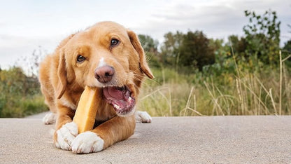 Premium Himalayan Yak Cheese Dog Chews - Aggressive Chewers' Delight - Large Size, 3-Pack - Grain-Free, Lactose-Free, Dental Boost