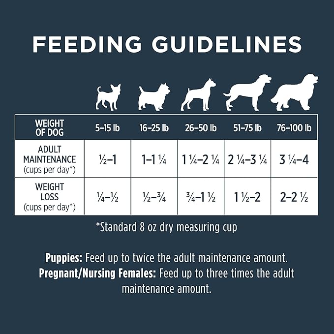 Instinct Raw Boost Grain Free Dry Dog Food, High Protein Real Beef Kibble + Freeze Dried Raw Dog Food, 20 lb. Bag
