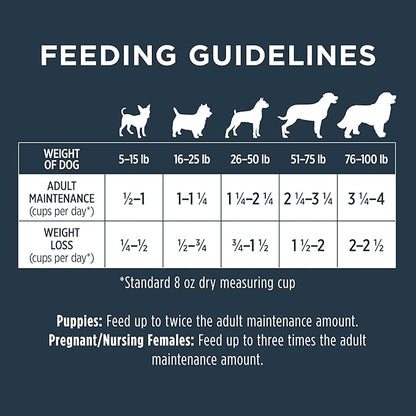 Instinct Raw Boost Grain Free Dry Dog Food, High Protein Real Beef Kibble + Freeze Dried Raw Dog Food, 20 lb. Bag