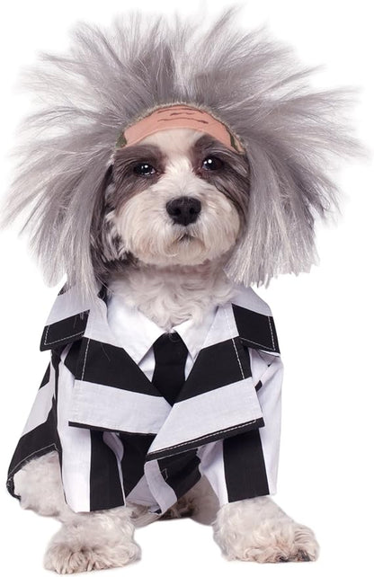 Rubie's Beetlejuice Pet Costume, Small