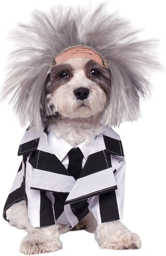 Rubie's Beetlejuice Pet Costume, Medium