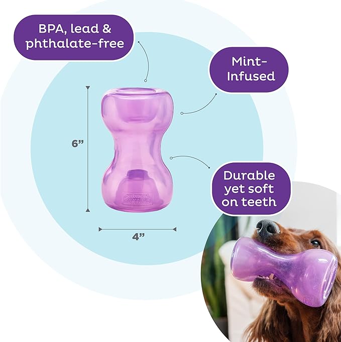 Outward Hound Double Snoop Interactive Treat Stuffer Durable Dog Toy, Dog Treat Toy, Purple