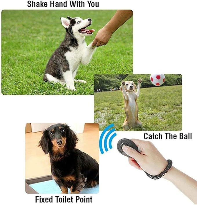Black Clicker Easy to Use with Button Dog Training Accessories Training and Behavior Aids