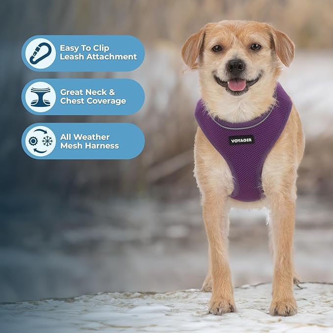Aerolite No Pull Mesh Dog Harness with Lightweight, Soft, Breathable Chest Coverage, Reflective Stitching, and Adjustable Straps for Walking, Running, Training, Heavy Duty and Durable - Purple, S