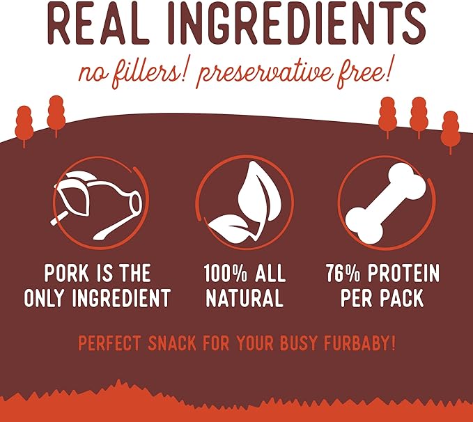 Beg & Barker Pork Jerky for Dogs (4 oz, Pack of 1) - Dog Training Treats - Natural Dog Treats Made in The USA - Grain Free, Diabetic-Friendly, High Protein, Sugar-Free (Pork Dog Jerky)