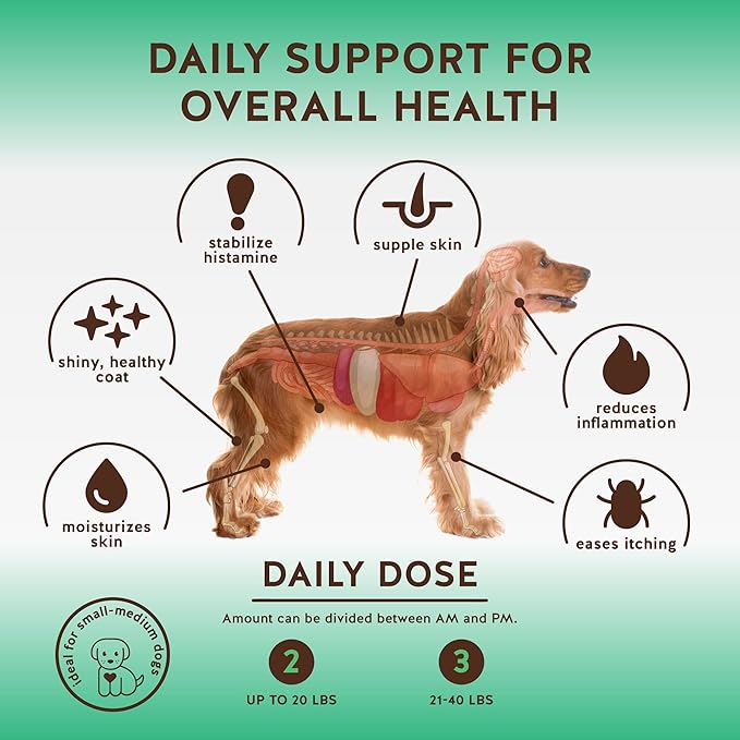 Jack&Pup Dog Allergy Chews - Bark Buddies Aller-Care Soft Chew Bites Itch Relief for Dogs & Allergy Support for Dogs - Dog Immune Supplement, Dog Skin Allergies Treatment and Anti Itch for Dogs 120ct
