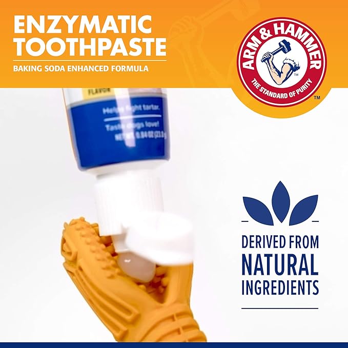 Arm & Hammer for Pets Tartar Control EZ Clean 360 Dental Tool for Small Dogs, Baking Soda Toothpaste Included |Refillable Dog Dental Toy for Easy Dog Teeth Cleaning |Fun Way to Promote Dental Health