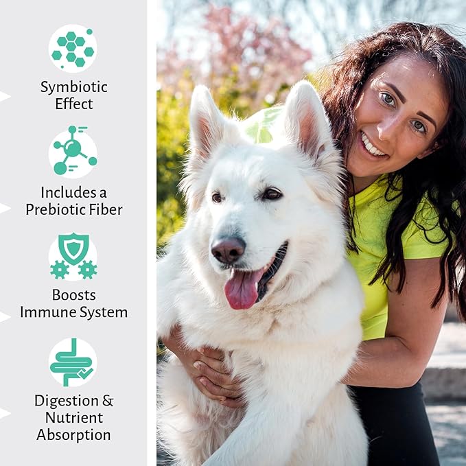 Healthy Bite Probiotic for Dogs - Dog probiotic for Diarrhea, Digestive and Immune Support for Dogs, Gut Health 6 Different Bacterias, Prebiotic Soft Chew Supplement for Dogs - Prebiotic -120 Count