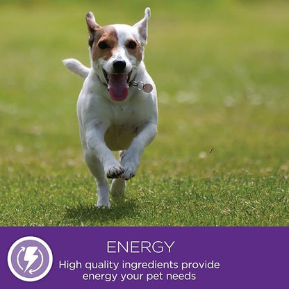 Wellness 95% Chicken Natural Wet Grain Free Canned Dog Food, 13.2-Ounce Can
