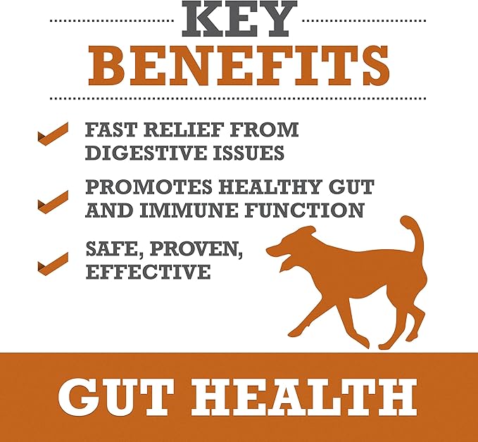 WINPRO | Dog Gut Health Supplement, Plasma-Powered Chews for Digestive Health, Fast Acting Immune Support in Dogs of All Breeds and Sizes, 60 Count, Made in USA