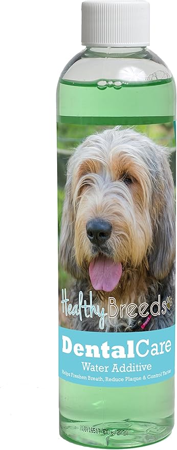 Healthy Breeds Dog Dental Care Water Additive for Otterhound - Helps Freshen Breath, Reduce Plaque & Control Tartar - Mint Flavor - 8 oz