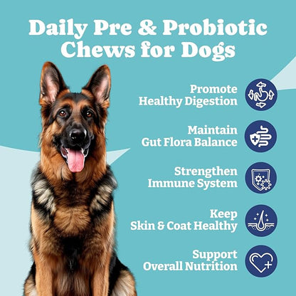 Probiotics for Dogs, Daily Dog Probiotics and Prebiotic with Natural Ingredients, for Gut Health and Digestive Health, Support Immune System, Maintain Skin & Coat Health, Duck Flavor, 90 Soft Chews