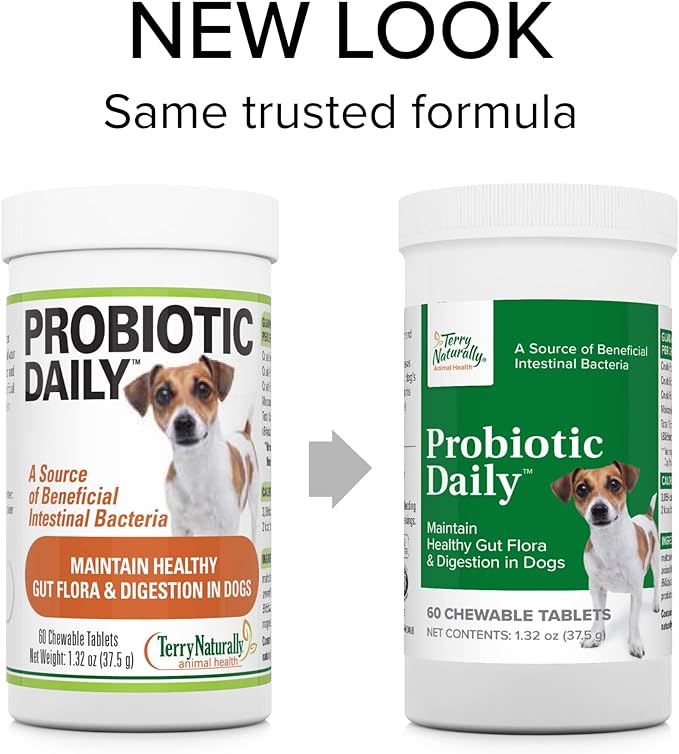 Terry Naturally Animal Health Probiotic Daily - 60 Chewable Tablets - Probiotics for Dogs, Beneficial Intestinal Bacteria to Maintain Healthy Gut Flora & Digestion - Canine Only - 60 Servings