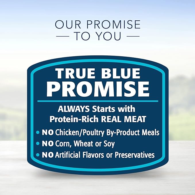 Blue Buffalo Life Protection Formula Natural Puppy Dry Dog Food and Wet Puppy Food, Chicken (30-lb Dry Food + 12.5oz cans 12ct)