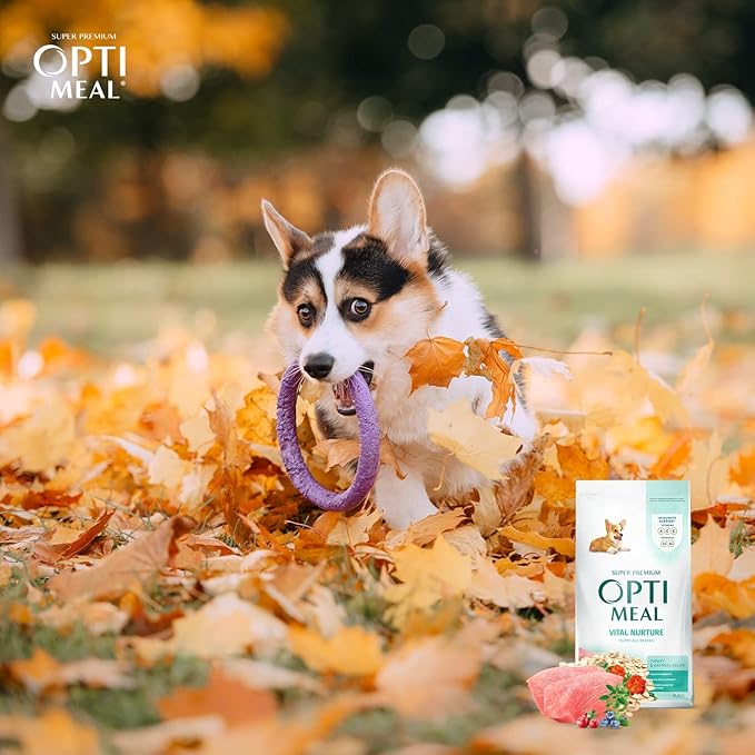 OPtimeal Natural Dog Food for Puppies - Proudly Ukrainian - Delicious Dry Puppy Food Recipe, Puppy Dog Food for Healthy Growth and Development26.5 lbsTurkey & Oatmeal