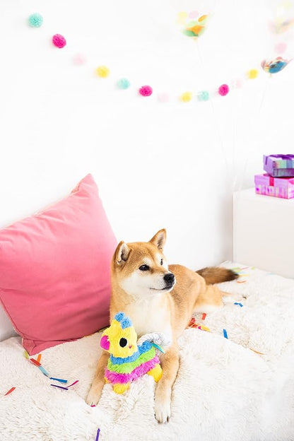 Pearhead Puppy Pinata Dog Toy, Rope Tug Toy for Dogs, Colorful Interactive Dog Toys, Party Pinata Toy for Dogs, Plush Chew Toy, Pet Owner Must Have Toy
