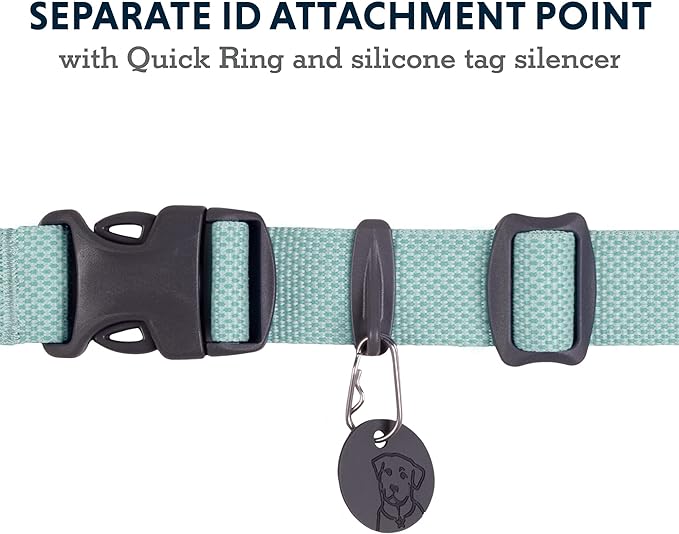Ruffwear, Hi & Light Dog Collar, Minimal and Ultralight Collar for Everyday Walks and Runs, Sage Green, 14"-20"