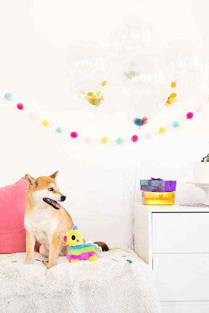 Pearhead Puppy Pinata Dog Toy, Rope Tug Toy for Dogs, Colorful Interactive Dog Toys, Party Pinata Toy for Dogs, Plush Chew Toy, Pet Owner Must Have Toy
