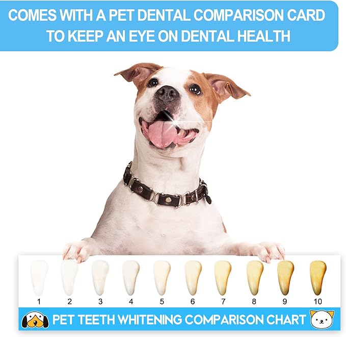 Cat Toothbrush Kit, Dog Toothbrush Kit, Suitable for All Cats and Dogs Dental Care. White, Soft Bristles, Meet All Cleaning Needs, Multi-Functional Dental Cleaning (S)