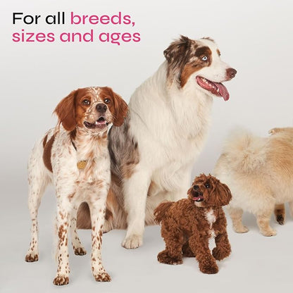 Dog Allergy Relief Chews - Dog Itching Skin Relief - Anti Itch for Dogs - Dog Itch Relief Chews - Hot Spot Treatment - Seasonal Allergy Support Supplements - Allergy Chews - Allergy Immune Treats