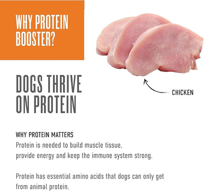 Tiki Dog Born Carnivore Protein Booster Dog Food Topper, Chicken Recipe in Broth, 2.1 oz. Pouch (12 Count)