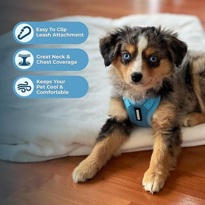 Voyager Step-in Lock Dog Harness w Reflective Dog Leash Combo Set with Neoprene Handle 5ft - Supports Small, Medium and Large Breed Puppies/Cats by Best Pet Supplies - Baby Blue, XL