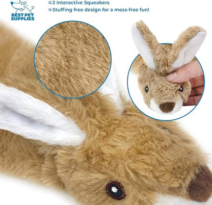 Best Pet Supplies Stuffing Free Squeaky Dog Toys for Small Dogs, Medium Dogs, and Large Dogs, Durable, Best Dog Chew Toy for Teething Puppy, Indoor Play, Holds Plastic Bottle - Hare, Medium