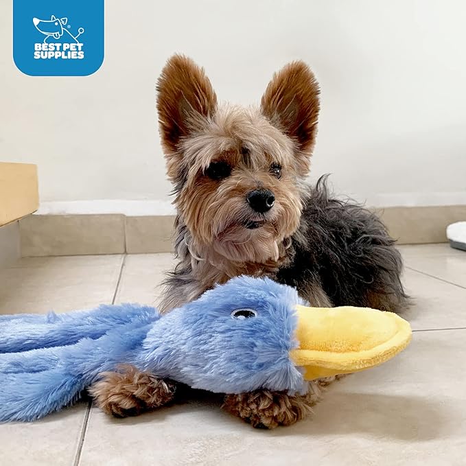 Best Pet Supplies Crinkle Dog Toy for Small, Medium, and Large Breeds, Cute No Stuffing Duck with Soft Squeaker, Fun for Indoor Puppies and Senior Pups, Plush No Mess Chew and Play, Large, Yellow