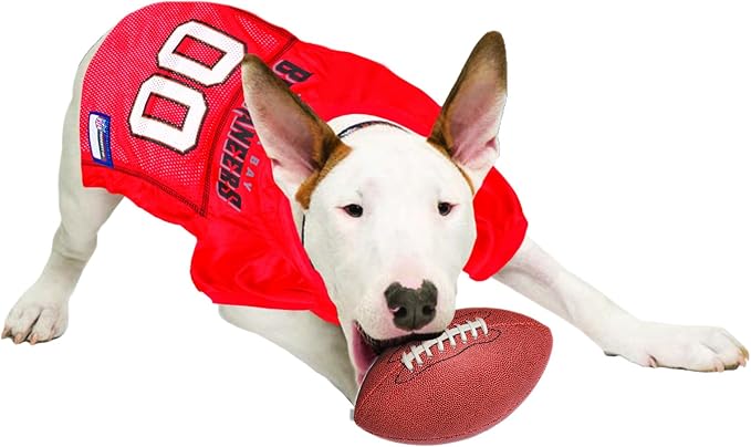 NFL Tampa Bay Buccaneers Dog Jersey, Size: Small. Best Football Jersey Costume for Dogs & Cats. Licensed Jersey Shirt