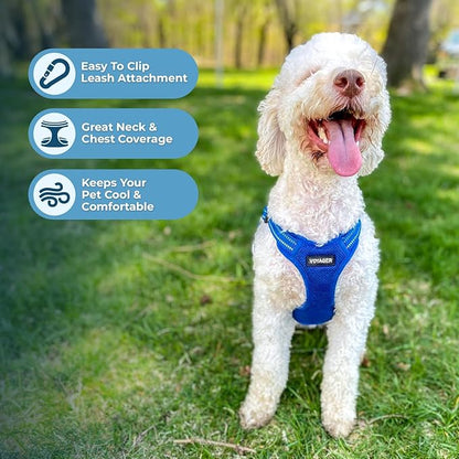 Best Pet Supplies Voyager Adjustable Dog Harness Leash Set with Reflective Stripes for Walking Heavy-Duty Full Body No Pull Vest with Leash D-Ring, Breathable All-Weather - Harness (Royal Blue), XS
