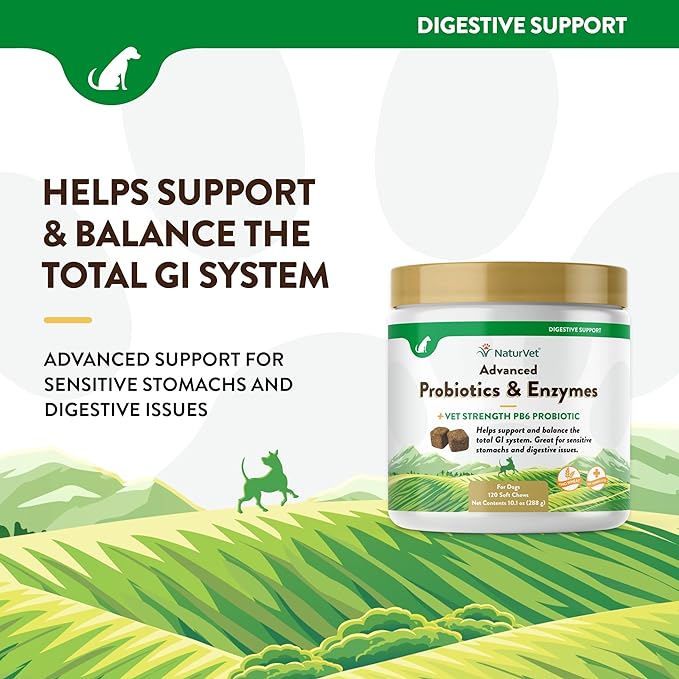 Veterinarian Strength Advanced Probiotics, Healthy Enzymes and PB6 Probiotic Supplement For Your Dogs Stomach, Intestine, Digestion and GI Tract health, Made by NaturVet, 120 Soft Chews