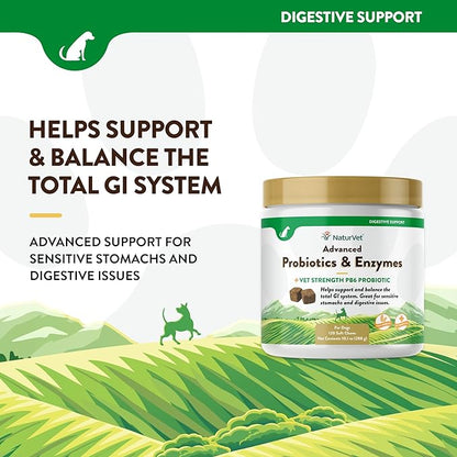 Veterinarian Strength Advanced Probiotics, Healthy Enzymes and PB6 Probiotic Supplement For Your Dogs Stomach, Intestine, Digestion and GI Tract health, Made by NaturVet, 120 Soft Chews