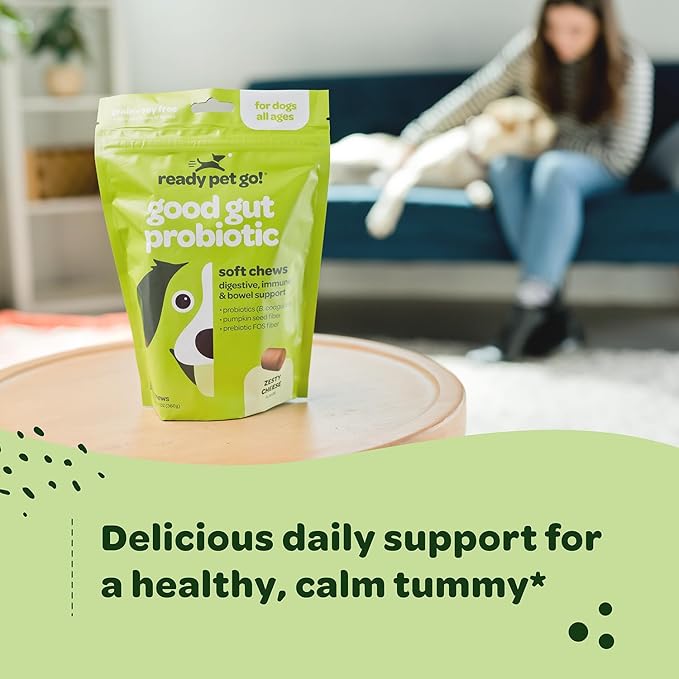 Probiotic Chews for Dogs Gut Health | Tasty Pro and Prebiotics for Dogs Digestive Health Immunity Itchy Skin & Seasonal Allergy Support with Pumpkin Dog Probiotics and Digestive Enzymes | 60 Chews