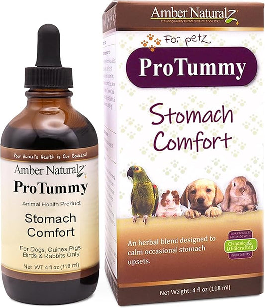 Amber NaturalZ ProTummy Stomach Comfort Herbal Blend for Dogs, Bird, Guinea Pigs, and Rabbits | Herbal Supplement for Occasional Upset Stomach | 4 Fluid Ounce Glass Bottle | Manufactured in The USA