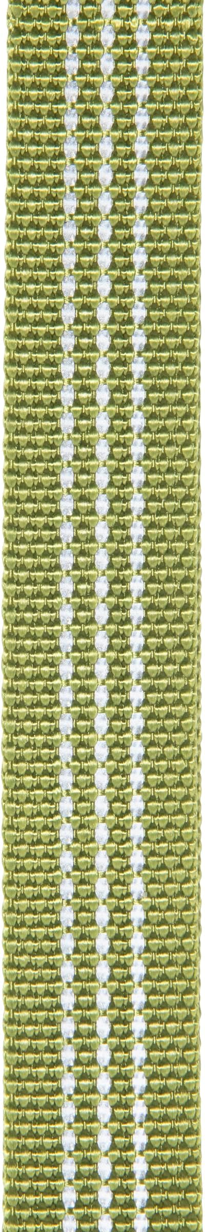 Carhartt Fully Adjustable Nylon Webbing Collars for Dogs, Reflective Stitching for Visibility, Light Moss (Nylon Webbing), Medium