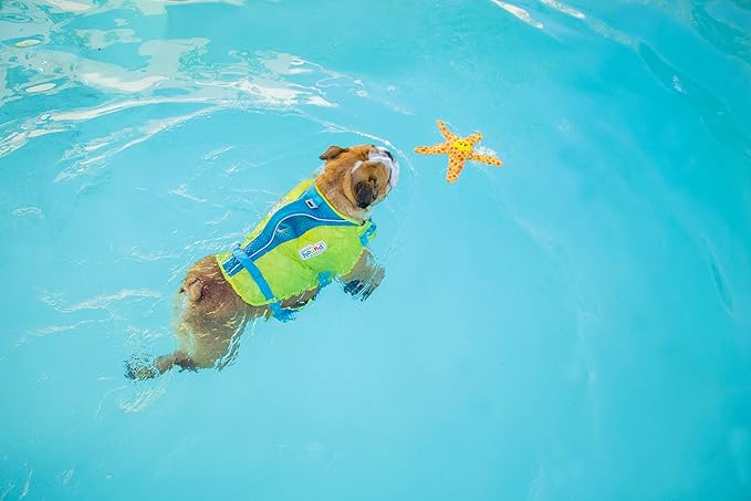 Outward Hound Floatiez Starfish Floating Dog Toy, Medium