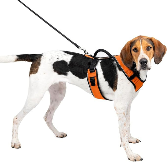 PetSafe EasySport Harness, Adjustable Padded Dog Harness with Control Handle and Reflective Piping, from The Makers of The Easy Walk Harness Orange Large