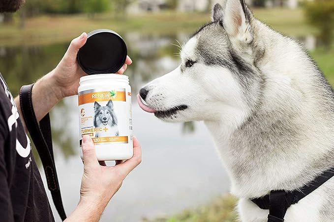 Renew Actives Organic Turmeric Joint Supplement for Dogs - Advanced Canine Support for Hip, Joint & Cartilage Health - Natural Mobility Formula with 120 Chewable Soft Treats