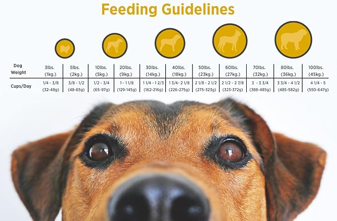 Blackwood Pet Food Blackwood Puppy Food Made in USA Slow Cooked Puppy Dog Food [Natural Puppy Food Dry For All Breeds and Sizes], Chicken Meal & Brown Rice Recipe, 15 lb. bag