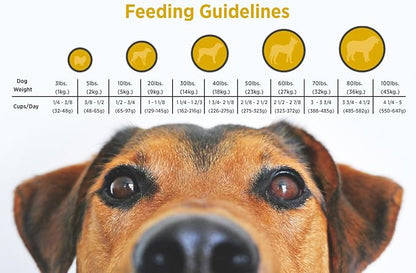 Blackwood Pet Food Blackwood Puppy Food Made in USA Slow Cooked Puppy Dog Food [Natural Puppy Food Dry For All Breeds and Sizes], Chicken Meal & Brown Rice Recipe, 15 lb. bag