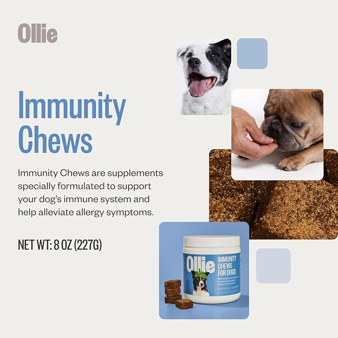 Ollie Dog Immunity Supplement - Immune Booster & Allergy Relief - 60 Count Appx.