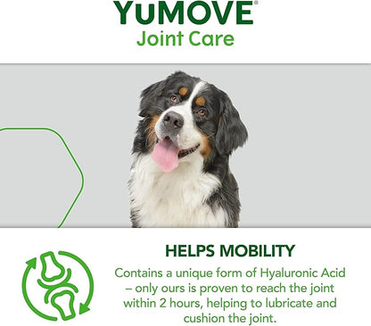 Senior Dog Tablets | Higher Strength Hip and Joint Supplement for Dogs with Glucosamine, Hyaluronic Acid, Green Lipped Mussel | Dogs Aged 8+ | 240 Tablets