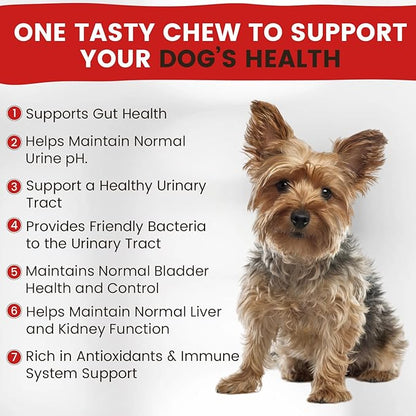 Cranberry Supplement for Dogs | Urinary Tract and UTI Support Chews | Incontinence and Bladder Control Nutritional Bites with D Mannose, Marshmallow Root, Probiotics, for Liver, Kidney