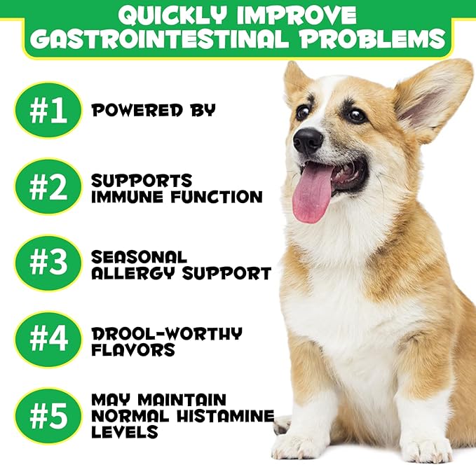 Probiotics for Dogs with Prebiotics and Digestive Enzymes, Dog Probiotics Chews Omega-3 & 6, Vitamin, Improve Digestion, Immunity, Reduce Diarrhea, Gas