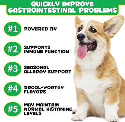 Probiotics for Dogs with Prebiotics and Digestive Enzymes, Dog Probiotics Chews Omega-3 & 6, Vitamin, Improve Digestion, Immunity, Reduce Diarrhea, Gas