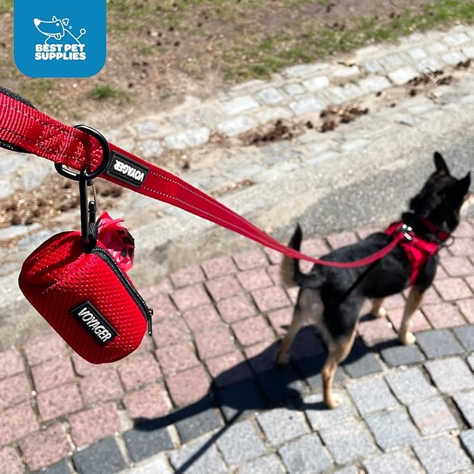 Best Pet Supplies 2-Pack Dog Poop Bag Holder Leash Attachment, Color, Reusable Mesh Dispenser Pouch for Travel, Walking, Park, and Outdoor Use, Soft and Durable with Clip-On - Mesh Lime Green