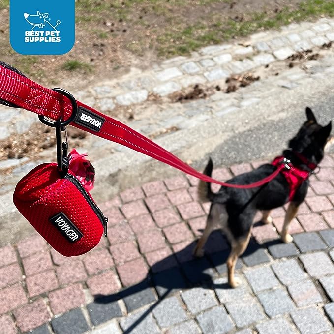 Best Pet Supplies 2-Pack Dog Poop Bag Holder Leash Attachment, Color, Reusable Mesh Dispenser Pouch for Travel, Walking, Park, and Outdoor Use, Soft and Durable with Clip-On - Mesh Fuchsia